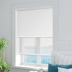 Double-Roller-Pure-White-Blind